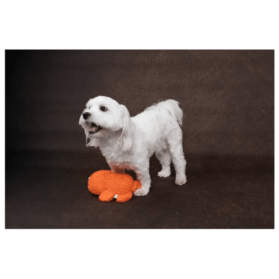 Halloween Speelgoed Absor Mannetje Oranje 23x9x26cm