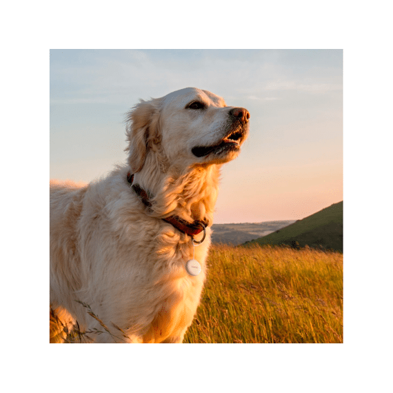 Hama Sleutelvinder Voor Android App Bluetooth Wit