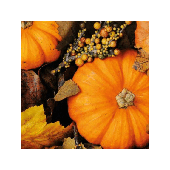 Duni Servetten 33x33cm 20stuks Fall Pumpkins