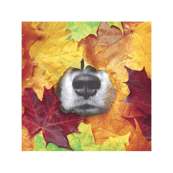 Duni Servetten 33x33cm 20stuks Furry Leaf