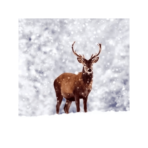 Duni Servetten 33x33cm 20stuks Winter Deer