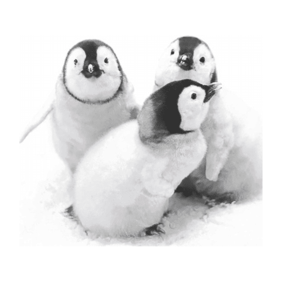 Duni Servetten 33x33cm 20stuks Penguin Friends