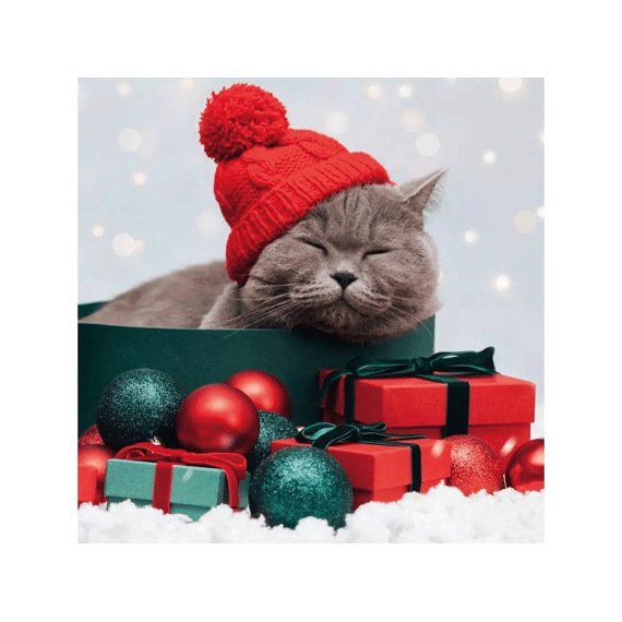 Duni Servetten 33x33cm 20stuks Purrfect Gifts