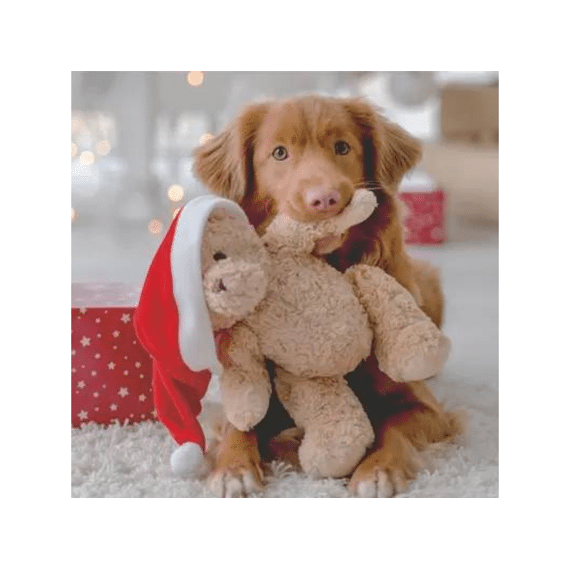 Duni Servetten 33x33cm 20stuks Woof