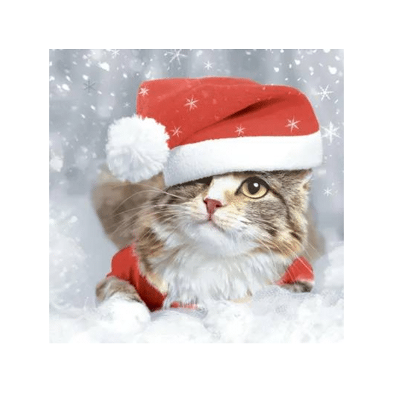Duni Servetten 33x33cm 20stuks Kitten Christmas