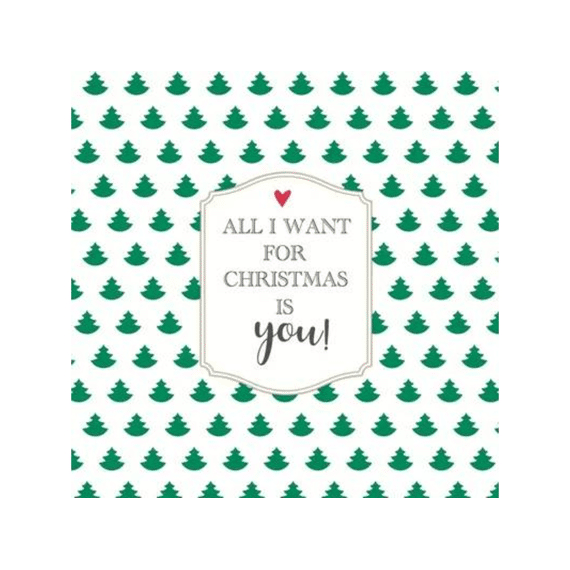 Duni Servetten 33x33cm 20stuks All I Want