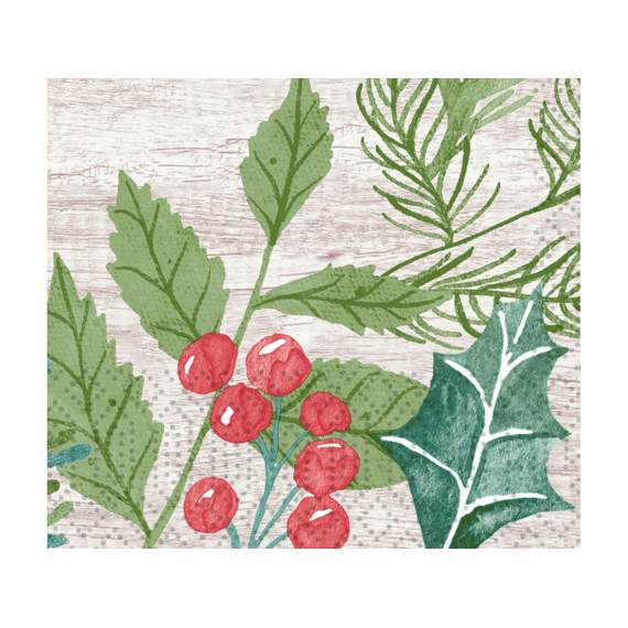 Duni Servetten 24x24cm 20stuks Winter Greenery