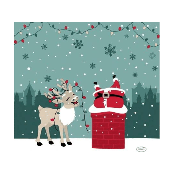 Duni Servetten 24x24cm 20stuks Jolly Journey