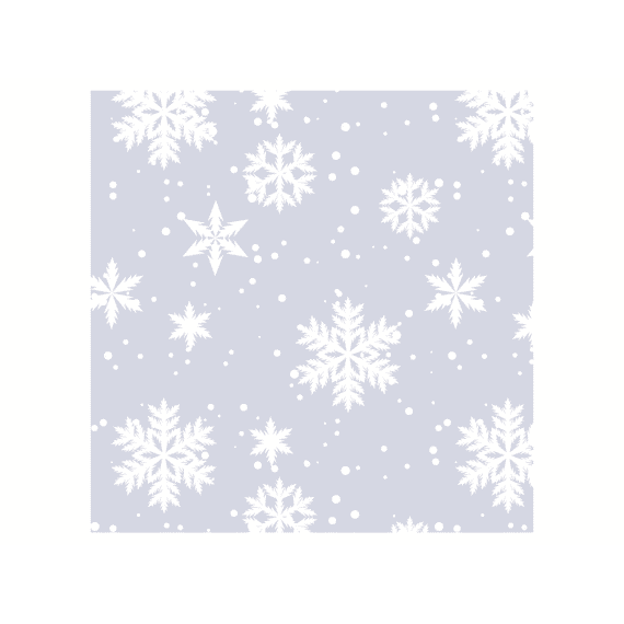 Duni Servetten 33x33cm 16stuks Silver Snow Moments