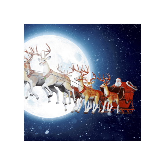 Duni Servetten 33x33cm 20stuks Lunar Xmas