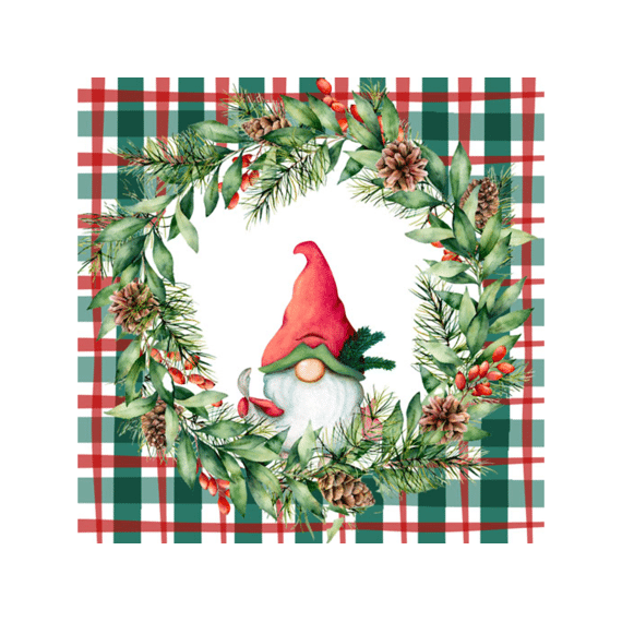 Duni Servetten 24x24cm 20stuks Xmas Check