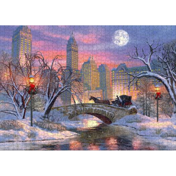 Central Park Ride Puzzel 1000st