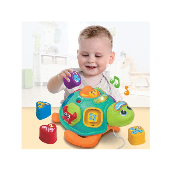 Winfun 240301 Pull Along Sert N Learn Turtle