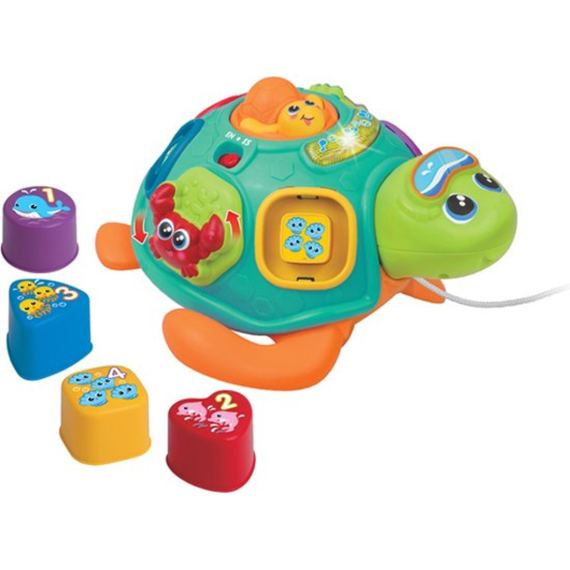 Winfun 240301 Pull Along Sert N Learn Turtle