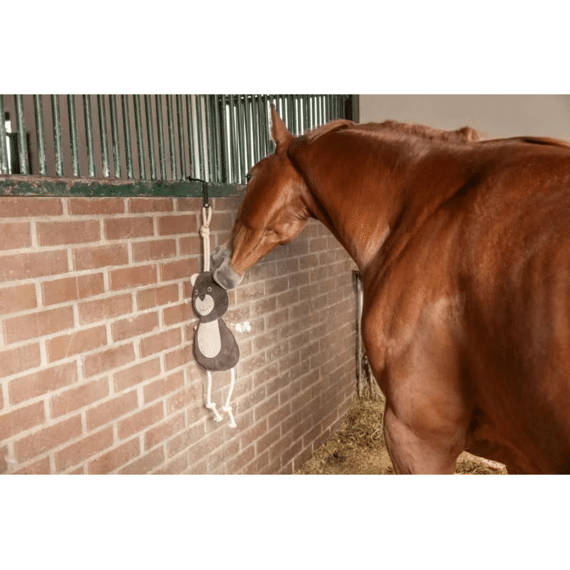 Paardenspeelgoed Beer