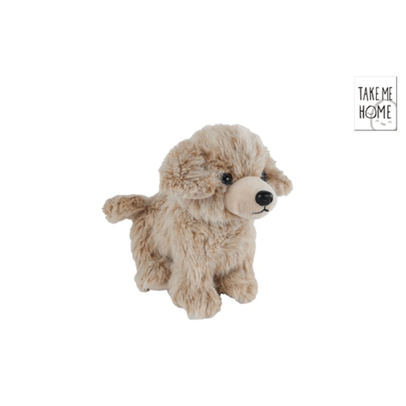 Take Me Home Hond S Pluche Staand 22cm