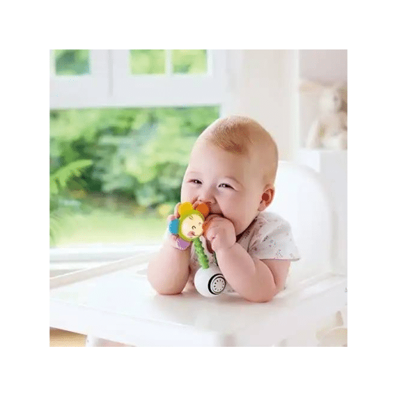 Hape Rammelaar Shake N Sparkle Flower