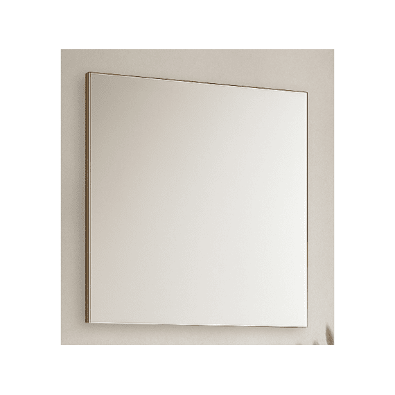 Thys Spiegel Siena 1.6x60x80cm