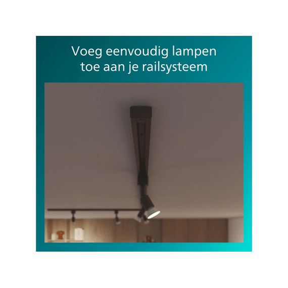 Philips Easylink Eindkap 2-Pack Zwart