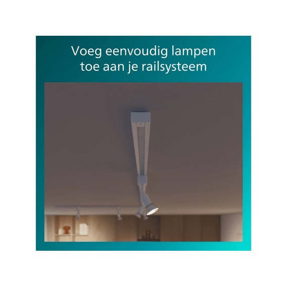 Philips Easylink Eindkap 2-Pack Wit