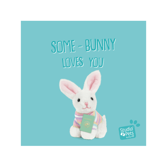 Studio Pets Mini Pluche Mini Konijn Bubbun 8cm