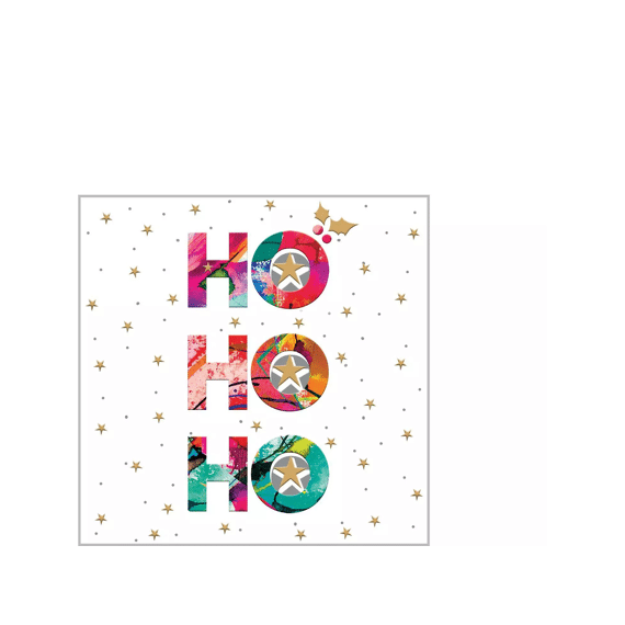 Ppd Servetten 25cm 20stuks Ho Ho