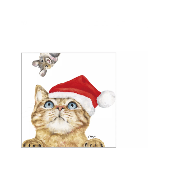 Ppd Servetten 25cm 20stuks Who Are You?