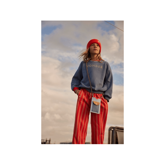 Sticky Lemon Telefoonhoesje Wonder Zissou Blue/blue Whale