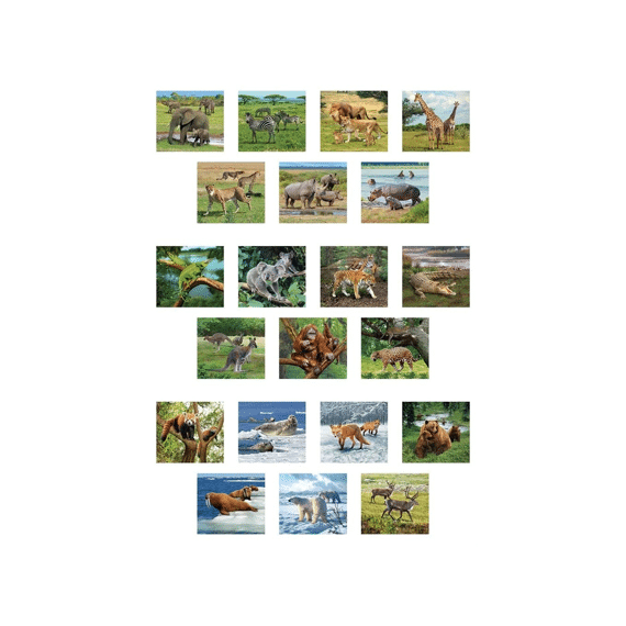 Ambo 3d Viewer Wilde Dieren