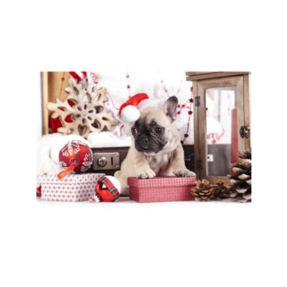 Finesse Placemat Pp Bedrukt 28,5x43,5cm Jingle Pup