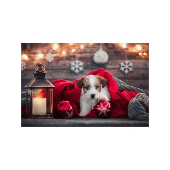 Finesse Placemat Pp Bedrukt 28,5x43,5cm X-mas Cuddles