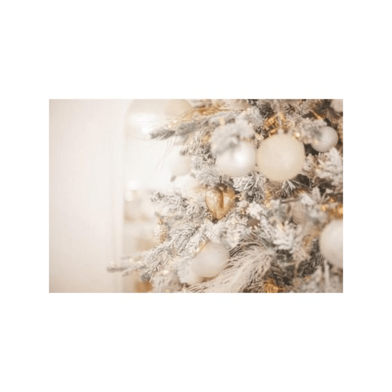 Finesse Placemat Pp Bedrukt 28,5x43,5cm Ivory Noël