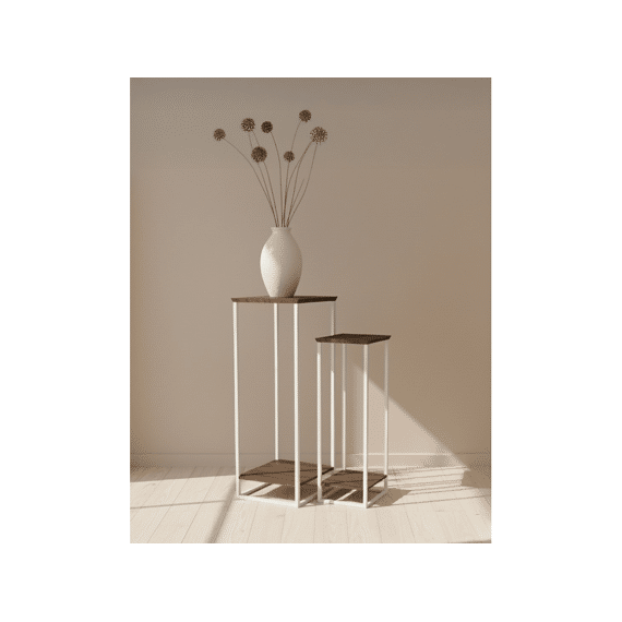 Plantenstandaard Ijzeren Frame Met Manghouten Blad En Schap 42x42x110cm
