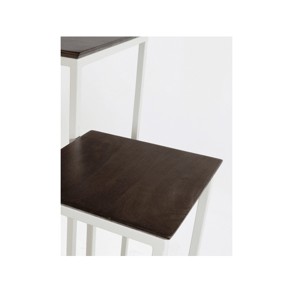 Plantenstandaard Ijzeren Frame Met Manghouten Blad En Schap 42x42x110cm