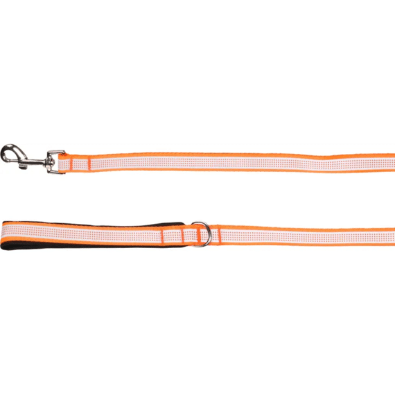 Hond Looplijn Fierro Fluo Oranje  2m 25mm
