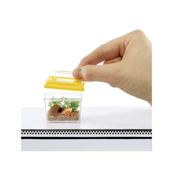 Mgas Miniverse Make It Mini Animals Serie Assortiment 
