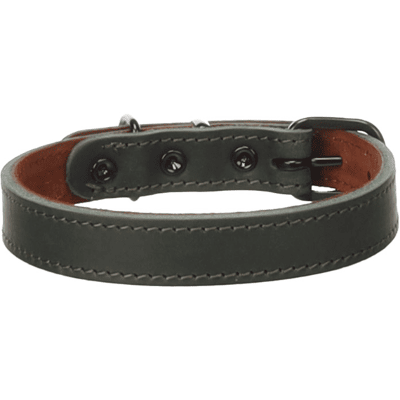 Hond Halsband Montana Groen S / M  32-40cm 20mm