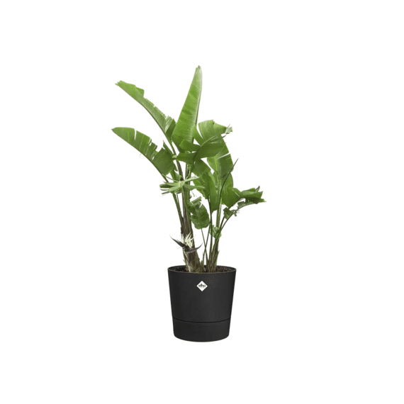 Elho Foss Rond 30cm Living Black