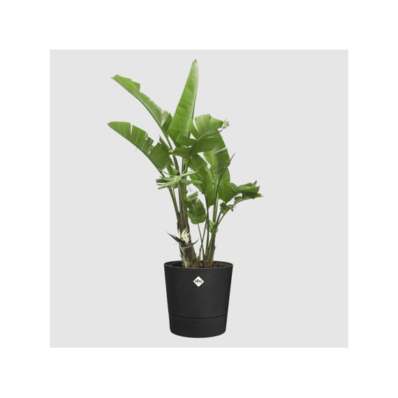 Elho Foss Rond 35cm Living Black
