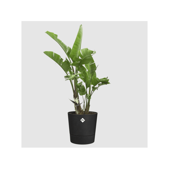 Elho Foss Rond 43cm Living Black