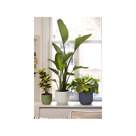 Elho Vibes Fold Rond 25cm Anatraciet