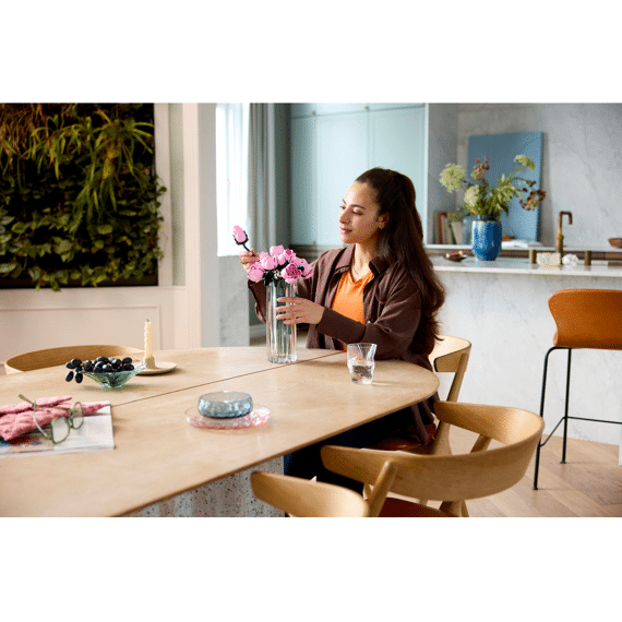 Lego Botanicals Roze Rozenboeket 10374