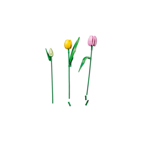 Lego Botanicals Boeket Met Tulpen 11501