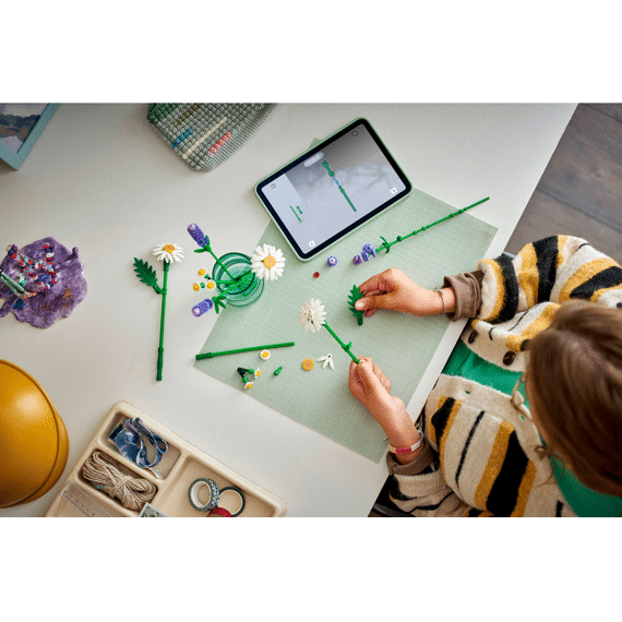 Lego Botanicals Madeliefjes 11508