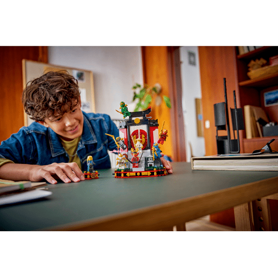 Lego Ninjago 15-jarig Jubileum: Display Met Ninjapersonages 71866