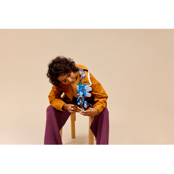 Lego Harry Potter Keltisch Aardmannetje 76461