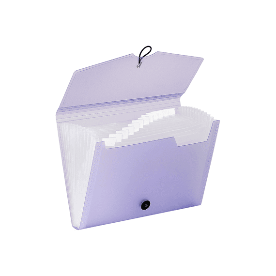 Viquel Sorteermap Met 12 Compartimenten A4 Propysoft Assortiment