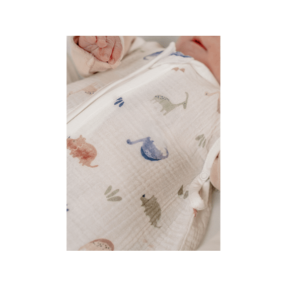 Noukies M&m26  Dino Slaapzak  50cm Tetra