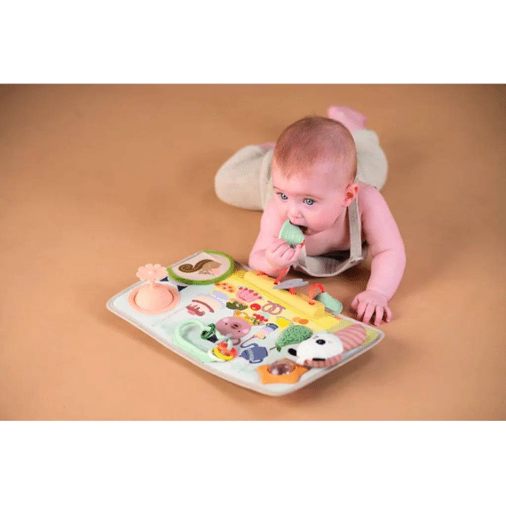 Taf Toys Peek Pop En Speelstation