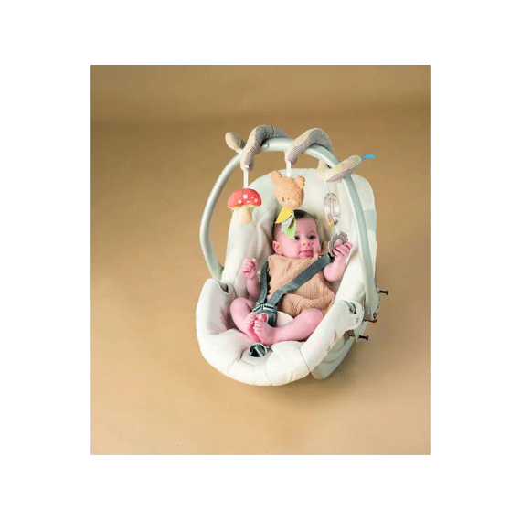 Taf Toys Activiteitenspiraal Bear Hugs